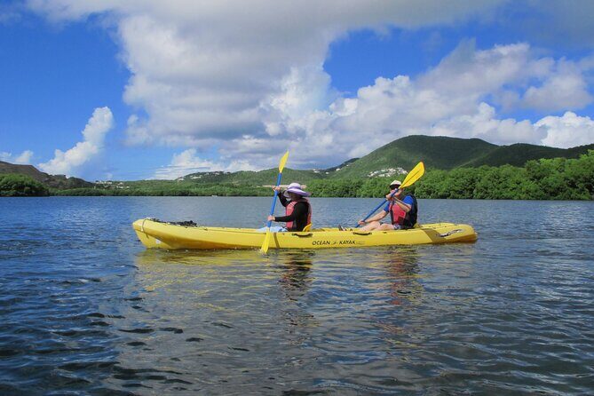 On Your Own: Kayak in the Mangrove Lagoon - Price and value: what $69 is paying for