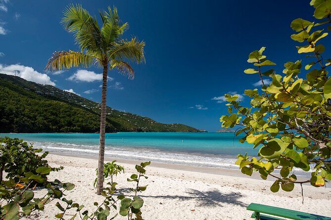 Paradise Taxi & Tours USVI-St.Thomas-Virgin Islands-Island Magen's Beach Tour - Key things that make this Magens Bay tour tick