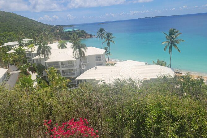 PARADISE TAXI & TOURS USVI-Transport Frenchmans Reef / Buoy Haus - Potential snags to plan for: late pickups, traffic, and the rare bad moment