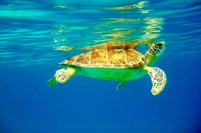 Private Day Charter Classic Sailboat - Honeymoon Beach Area Time: Swim, Snorkel, Sunbathe