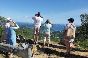 Private Four Hour Historic/Beach Tour with Star Fish Tours & Taxi - Caneel Bay Views, Hawksnest and Oppenheimer Beach Time Windows