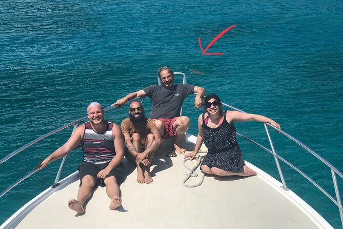 Private Half-Day Guided Snorkeling Charter in St. Thomas - What the 4 Hours Actually Feel Like