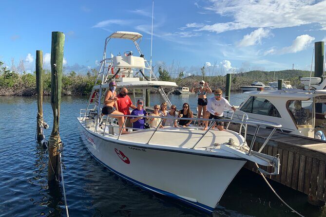 Private Half-Day Guided Snorkeling Charter in St. Thomas - Christmas Cove at Greater St. James Island: Best Bet for Rays and Turtles