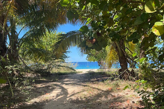 Private Open-Air Jeep Adventure with Tropic Sun –Hidden Beaches - Tropic Sun Hidden Beaches in 6 key points