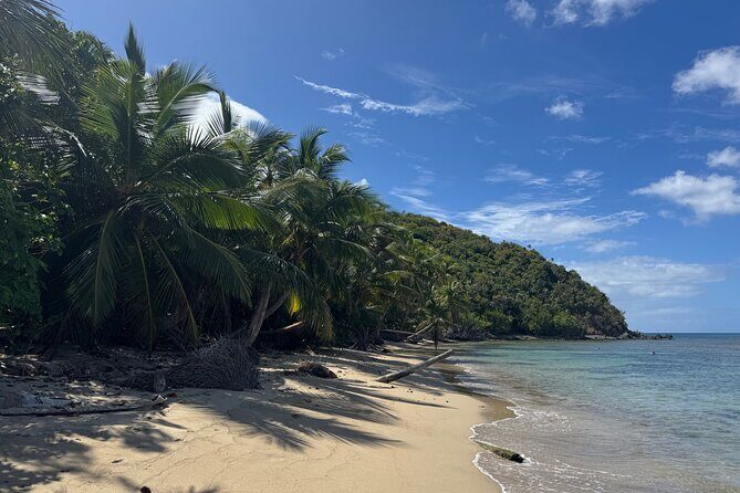 Private Open-Air Jeep Adventure with Tropic Sun –Hidden Beaches - Beach time that feels private: shade, chairs, and even turtles