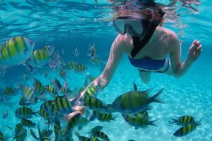 Sail/Snorkel Adventure from Sapphire Marina,STT NO CROWDS~ 6 GUEST MAX - What snorkeling actually looks like: reef wildlife, calm water, and float support