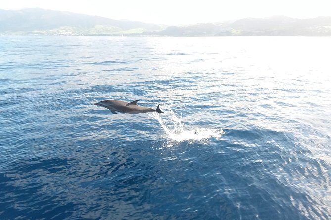 Sail/Snorkel Adventure from Sapphire Marina,STT NO CROWDS~ 6 GUEST MAX - Cosmos Mariner onboard: drinks, snacks, and a real sailboat feel