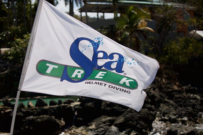 Sea Trek Helmet Dive at Coral World Ocean Park - Safety and medical rules: who should not plan to participate