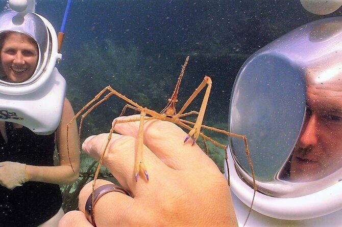 Sea Trek Helmet Dive at Coral World Ocean Park - What’s included vs. what costs extra (and what you’ll want to plan for)