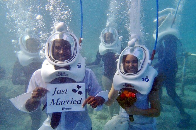 Sea Trek Helmet Dive at Coral World Ocean Park - Value check: is $119 worth it in St Thomas?