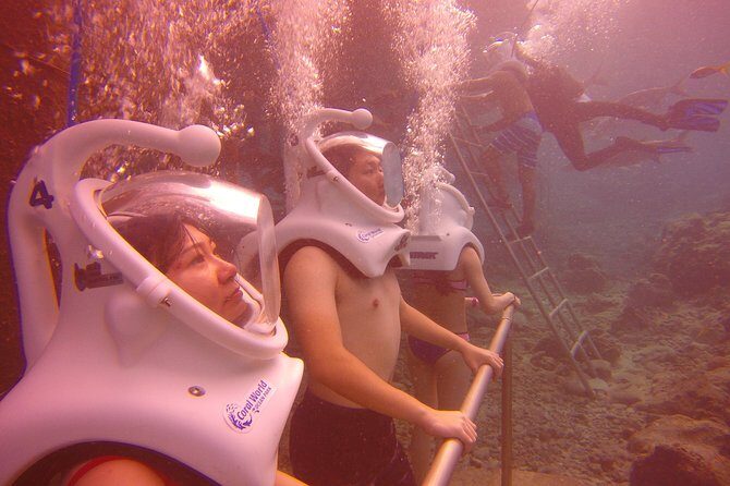 Sea Trek Helmet Dive at Coral World Ocean Park - Check-in and getting started at Coki Point Road