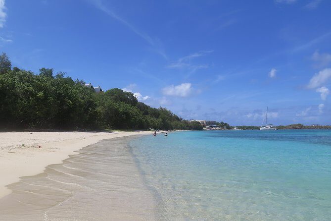 Small Group Sea Turtle Tour (Guaranteed to see turtles) - Where You Start at Lindberg Bay (and Why It Matters)