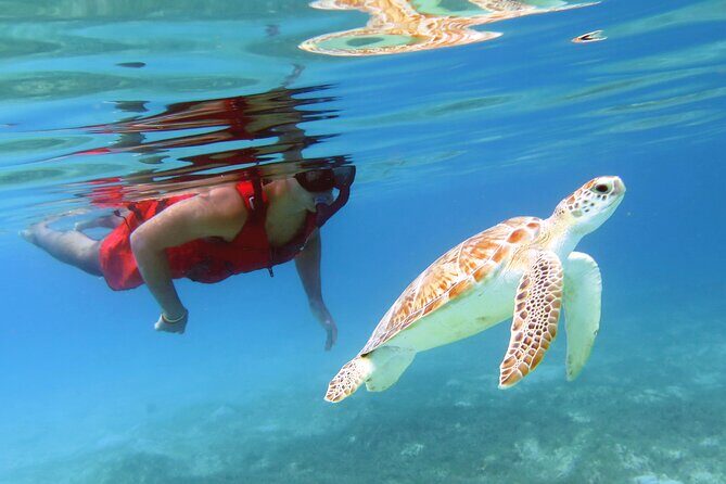 Small Group Sea Turtle Tour (Guaranteed to see turtles) - Meet the Guides: The “Stay With You” Style