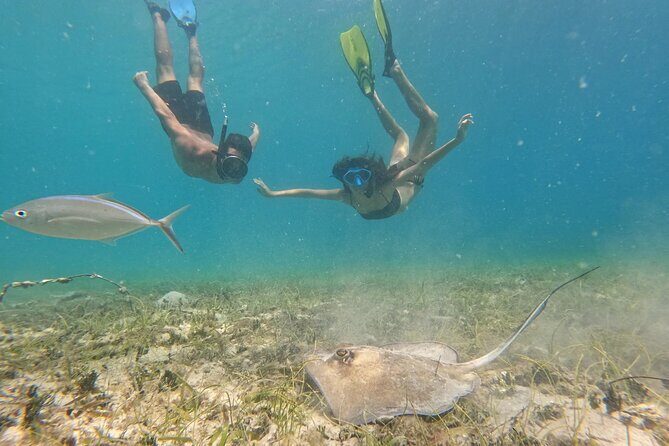 Snorkel St. John Tour from Sapphire and Margaritaville - Continental Breakfast and Lunch With an Open Bar: Food Timing That Works