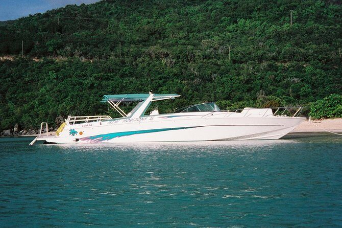 Snorkel St. John Tour from Sapphire and Margaritaville - Underwater Highlights: What You’re Most Likely to See