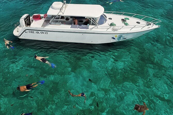 Snorkel St. John Tour from Sapphire and Margaritaville - Price and Value: Does $180 Buy a Real Day Out?