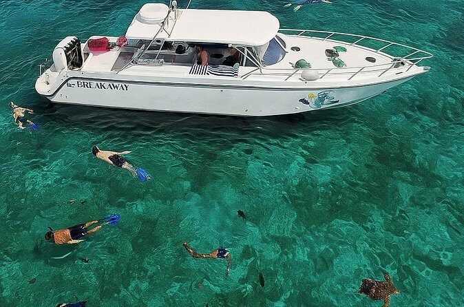 Snorkel St. John Tour from Sapphire and Margaritaville - Who This Tour Is Best For (And Who Might Want Another Option)