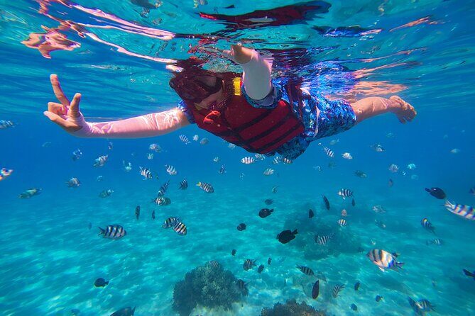 Snorkel St. John Tour from Sapphire and Margaritaville - Powerboat Snorkeling in the USVI: What the St. John Sites Actually Mean