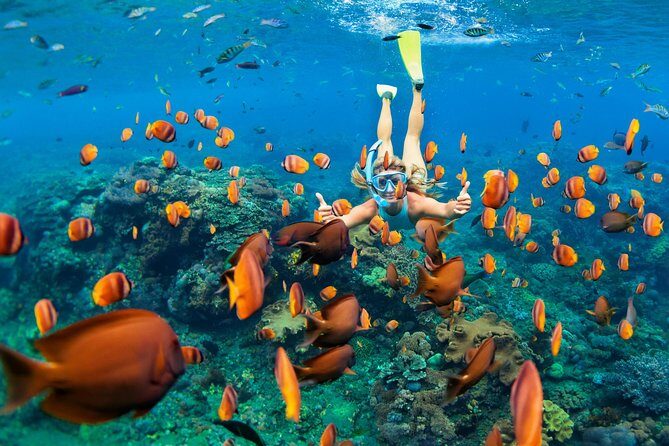 Snorkel & Swim with Turtles. Semi Private Tour to Buck Island & Honeymoon Beach - Key things I’d plan around