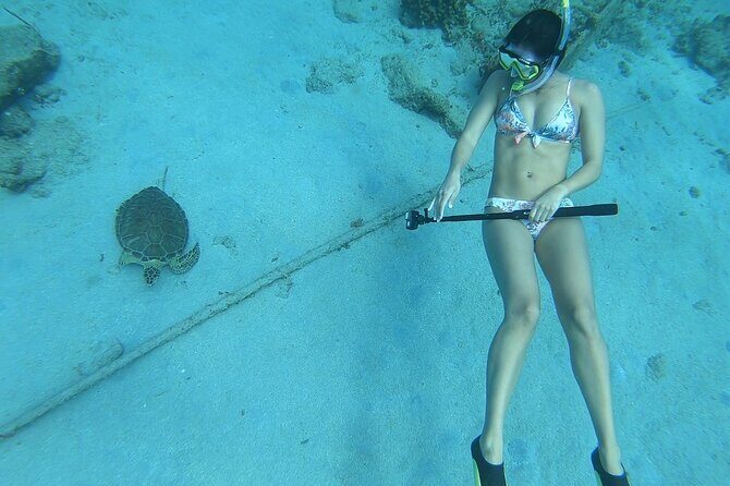 Snorkeling with Sea Turtles - Key things to know before you go