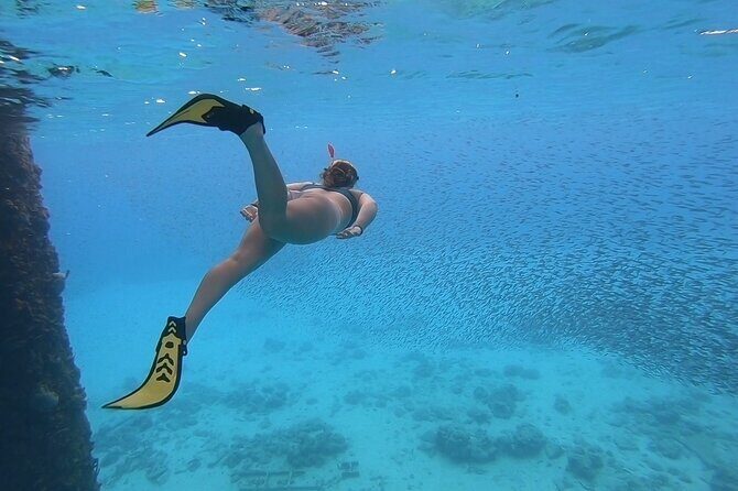 Snorkeling with Sea Turtles - St Croix Sea Turtle Snorkeling: What Makes This One Special