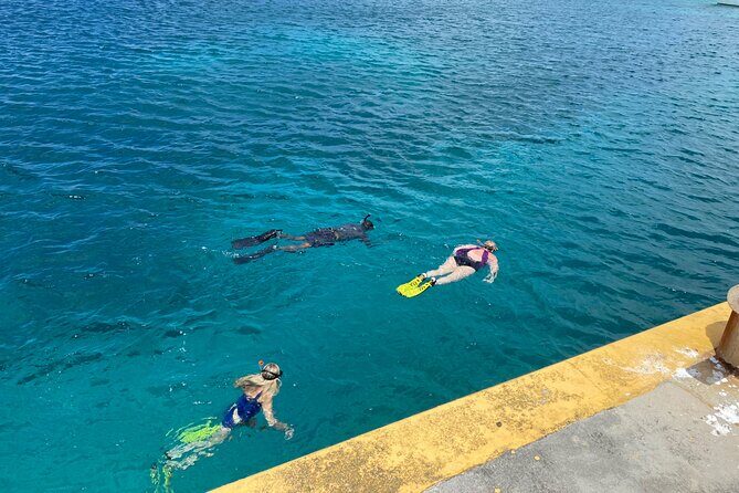 Snorkeling with Sea Turtles - The 1.5-Hour Guided Snorkel: How the Turtle Part Works