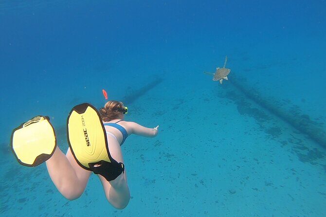 Snorkeling with Sea Turtles - What You’ll See Under and Around the Pier (and Why It’s Worth Time)