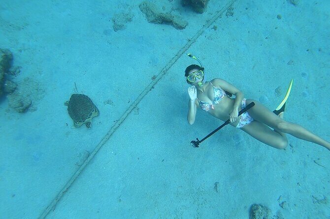 Snorkeling with Sea Turtles - Restaurants, Shade, and a Real Day Plan (Not Just a Quick Swim)