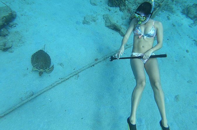 Snorkeling with Sea Turtles - Price and Value: Why $65 Feels Reasonable Here