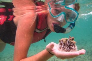 Snorkeling with Sea Turtles at St. Thomas - How you get in the water: gear fitting, life vests, and no boat chaos