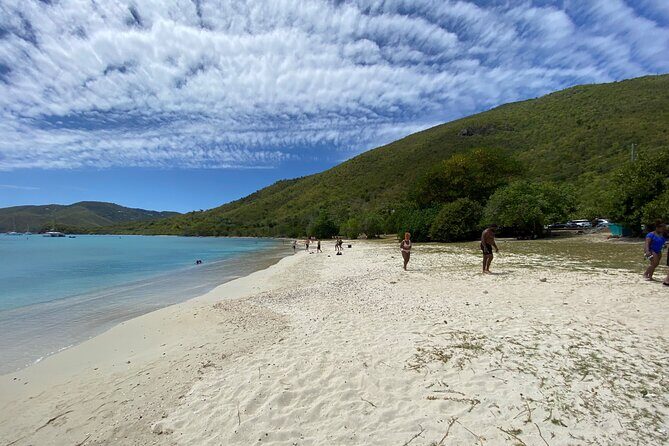Snorkeling with Sea Turtles at St. Thomas - What else you might spot under the surface