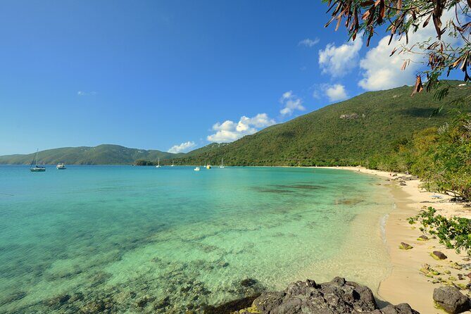 Snorkeling with Sea Turtles at St. Thomas - Small-group comfort: from families to first-timers