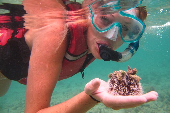 Snorkeling with Sea Turtles at St. Thomas - How you get in the water: gear fitting, life vests, and no boat chaos