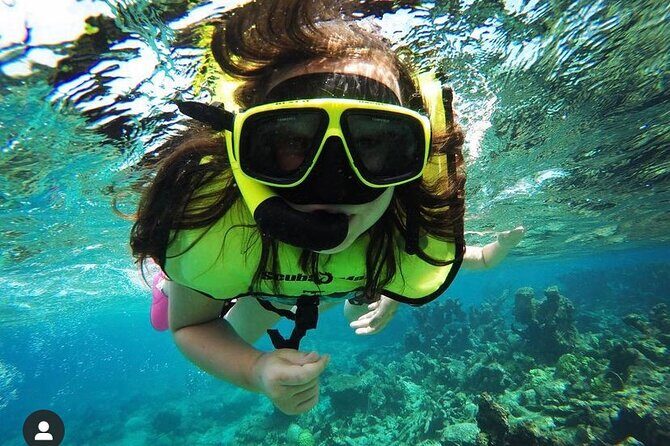 Snorkeling with Sea Turtles - Rainbow Beach vs. Real Life: Where You Start and How It Feels