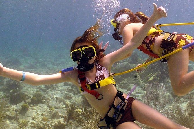 Snuba Adventure at Coral World Ocean Park - Coral World Ocean Park at Coki Point: the setting that makes Snuba worth it