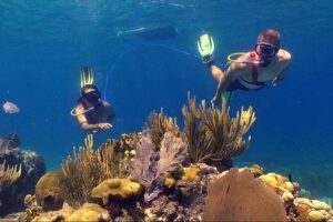 Snuba Adventure at Coral World Ocean Park - The Snuba orientation: what happens before you hit the water