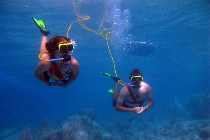 Snuba Adventure at Coral World Ocean Park - Equipment and the “feel” of Snuba: what your body will notice