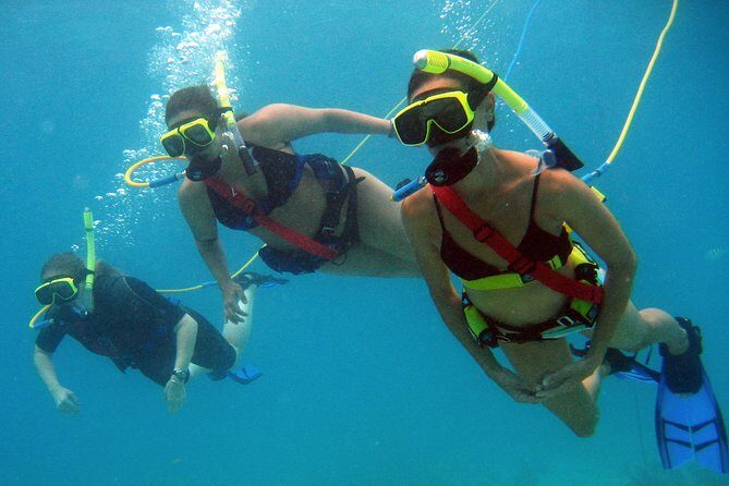 Snuba Adventure at Coral World Ocean Park - The 30-minute underwater reef experience at Coral World