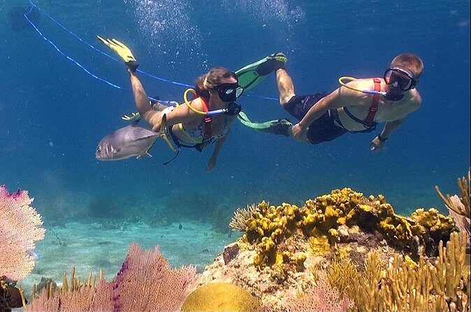 Snuba Adventure at Coral World Ocean Park - Camera tips and photos: how to capture your trip
