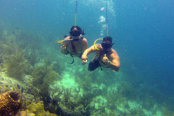 Snuba Adventure at Coral World Ocean Park - What’s included (and what you’ll pay for)