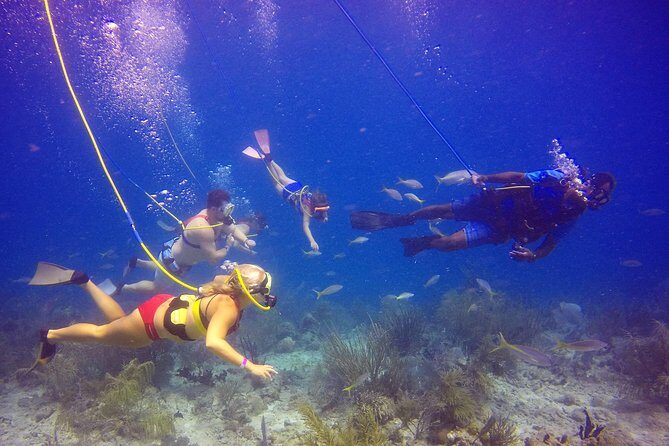 Snuba Adventure at Coral World Ocean Park - Who should book: beginners, kids, and “moderate fitness” realities