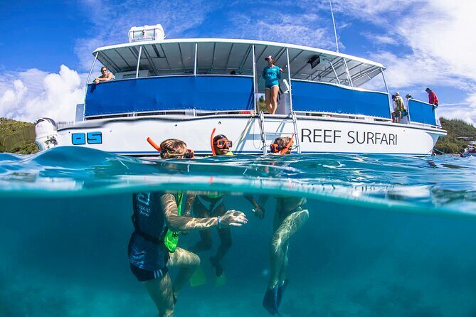 St. James Snorkel & Pizza Pi Lunch - Little St James Snorkeling: Coral Reefs and Lots of Fish