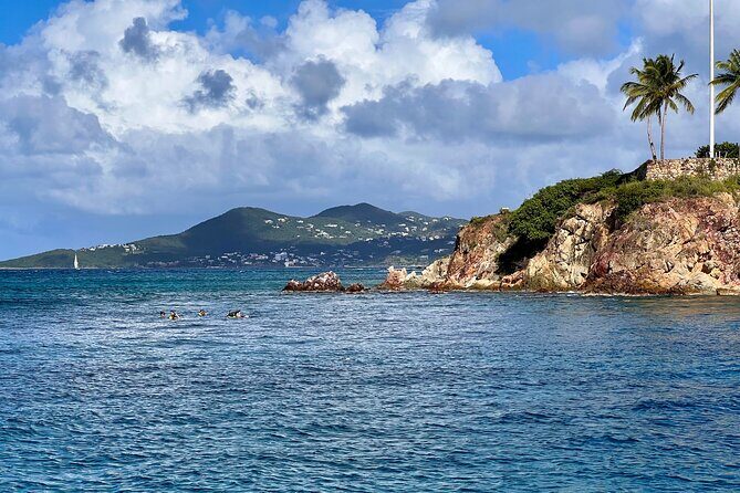 St. John Luxury Catamaran Turtle Snorkel and Cays Full Day - Stop 2: Maho Bay in St. John National Park (reef life under coconut palms)