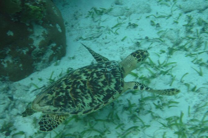St John & Surrounding Cays - Full-Day Sail/Snorkel, 6 Guests Max - How the snorkeling works: usually two stops, chosen for your day