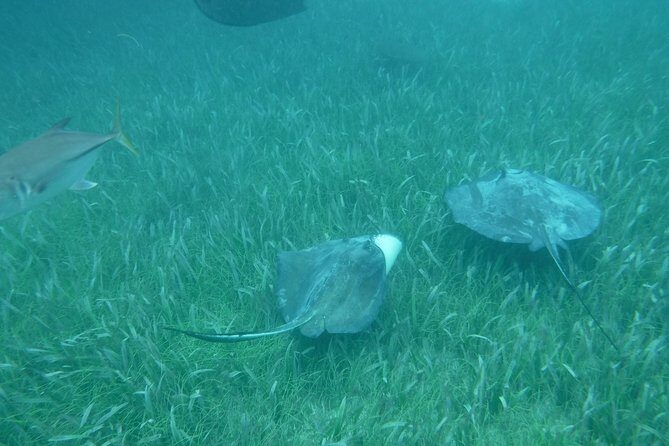St John & Surrounding Cays - Full-Day Sail/Snorkel, 6 Guests Max - Lunch and drinks: why this included value matters at $245