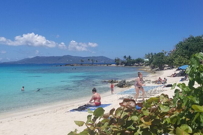 St Thomas Full Day Private Tour (1-10 PPL) - Sapphire Beach vs Coki Point: How to Choose Your Water Mood