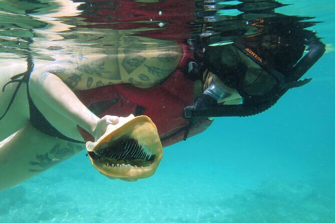 St Thomas Kayak and Sea Turtle Snorkel Excursion - Tandem kayak setup and coaching for first-timers