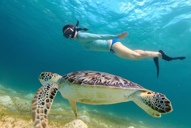 St. Thomas Maho Bay Turtle Snorkel Sail - Ritz-Carlton - Getting started at the Ritz-Carlton (10:15 am) without stress