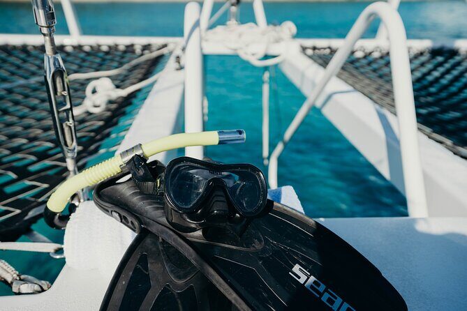 St. Thomas Maho Bay Turtle Snorkel Sail - Ritz-Carlton - The second snorkel at Honeymoon Beach: more sea life, another shot at turtles