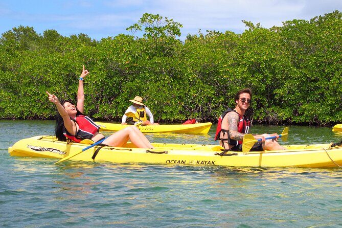 St Thomas Mangrove Lagoon Kayak and Snorkel Tour in the US Virgin Islands - Kayaking through mangrove channels: calm water, real effort